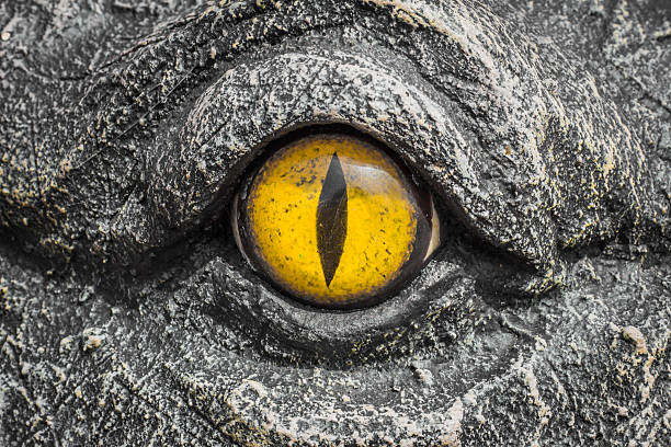 istock Yellow eyes of crocodiles. 622513014