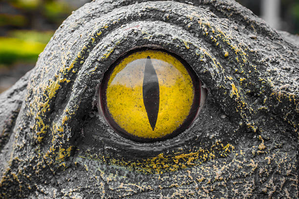istock Yellow eyes of crocodiles. 622513174