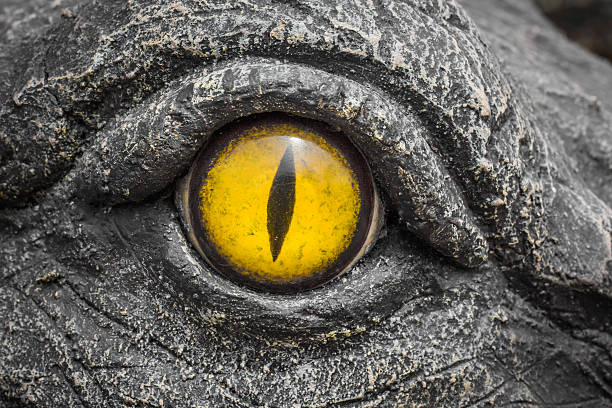 istock Yellow eyes of crocodiles. 622513308