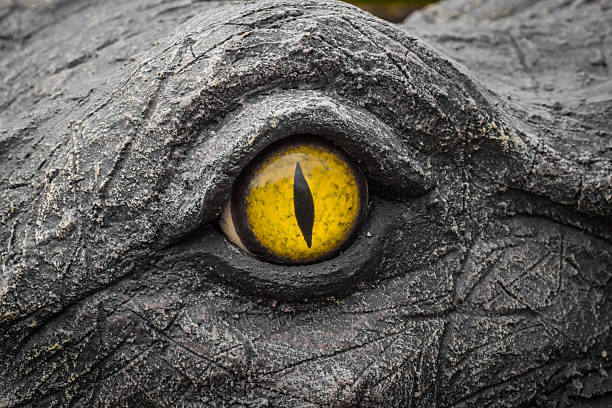 istock Yellow eyes of crocodiles. 622513362