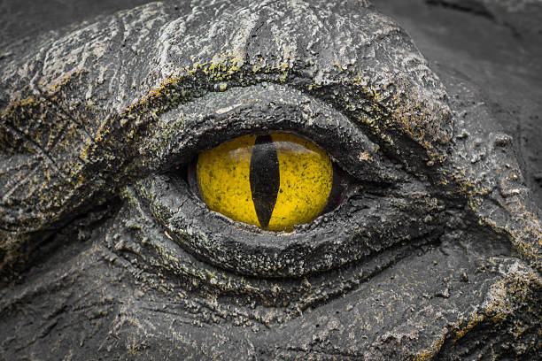istock Yellow eyes of crocodiles. 622513434