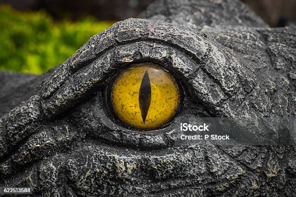 Gelbe Augen Von Krokodilen Stockfoto und mehr Bilder von Echte Krokodile - Echte Krokodile, Tierisches Auge, Makrofotografie