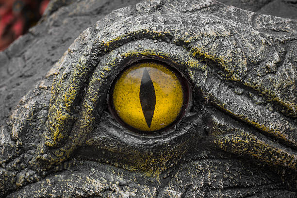 istock Yellow eyes of crocodiles. 622513664