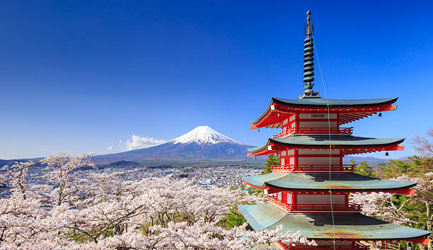 Mt. Fuji with Chureito Pagoda, Fujiyoshida, Japan Fujiyoshida, Japan - April 15, 2016 : The Chureito Pagoda, a five-storied pagoda also known as the Fujiyoshida Cenotaph Monument, was built in 1958. pagoda stock pictures, royalty-free photos & images