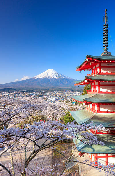 mt. fuji z chureito pagoda, fujiyoshida, japonia - fuji mt fuji yamanashi prefecture japanese fall foliage zdjęcia i obrazy z banku zdjęć