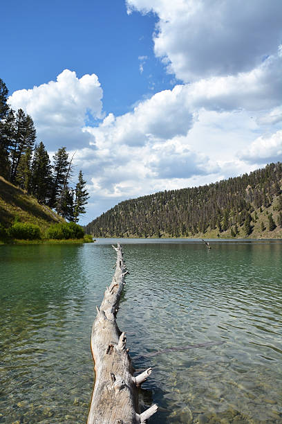 istock Lake in Yellowstone national park 622517640