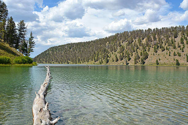 istock Lake in Yellowstone national park 622517678