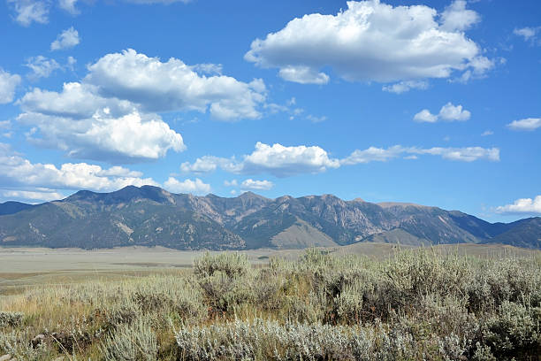 istock Montana, mountains. Yellowstone national park 622517756
