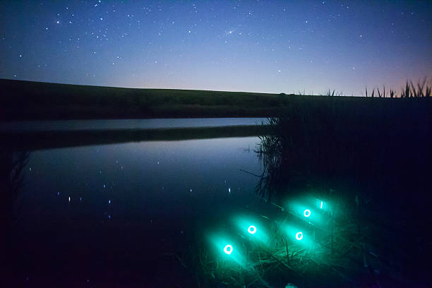 istock Night fishing 622518588