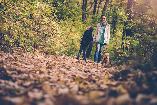 istock Mother and daughter hiking in a forest 622519794