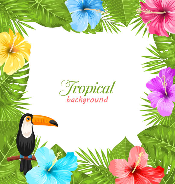 illustrations, cliparts, dessins animés et icônes de fond tropical avec oiseau toucan, fleurs d’hibiscus colorées - aloha mot hawaïen