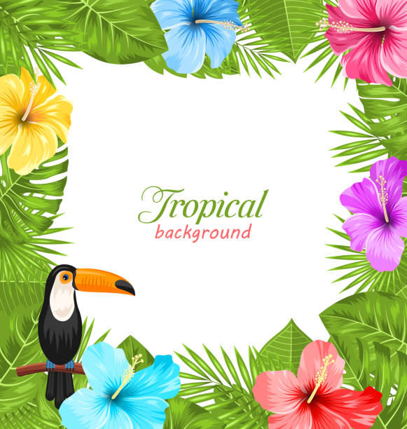Tropical Background with Toucan Bird, Colorful Hibiscus Flowers Illustration Tropical Background with Toucan Bird, Colorful Hibiscus Flowers Blossom and Green Leaves - Vector aloha single word stock illustrations