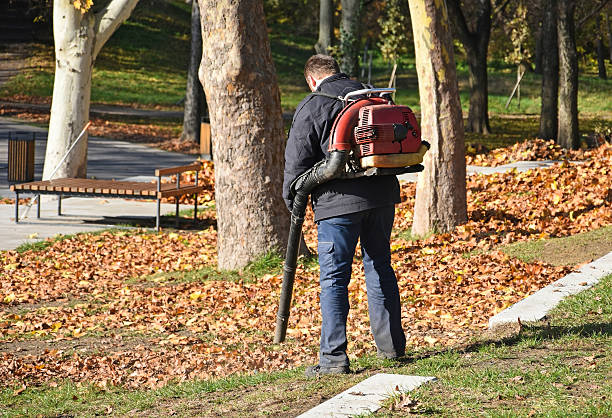 istock Man is cleaning leaves in the woods 622524766