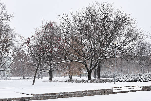 istock Snowfall in the city streets 622525086