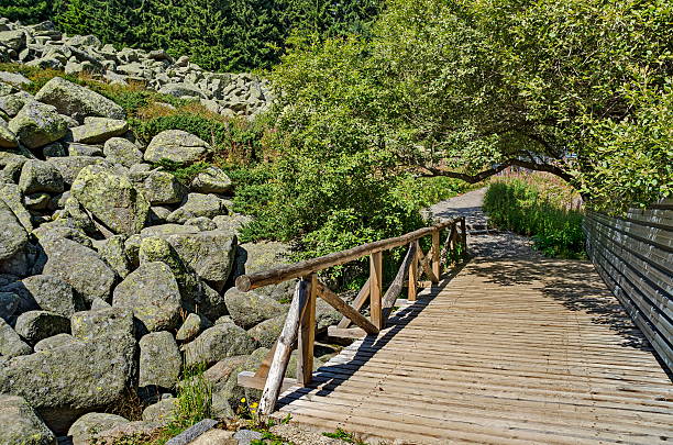 istock Unique stone river big granite stones with wooden bridge 622526842