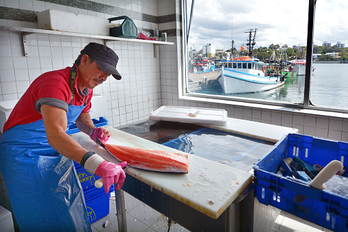Sydney, Australia - October 20, 2016: Fisherman cleans a Salmon fish in Sydney Fish Market, a Large marketplace  and a major tourist attraction featuring shops for seafood, deli items and restaurants.