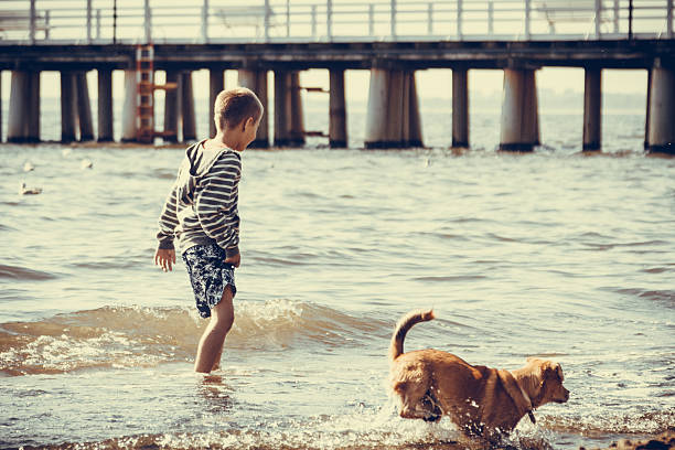 маленький мальчик в морской воде с собакой. лето. - dog walking child little boys стоковые фото и изображения