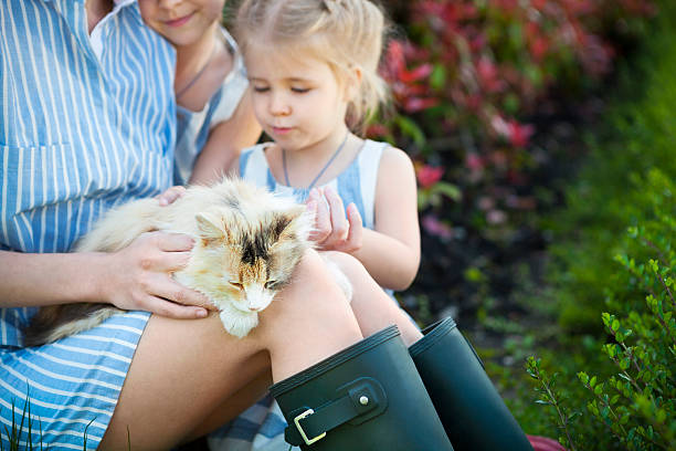 istock Happy mother with her daughters holding cat against nature 622527566