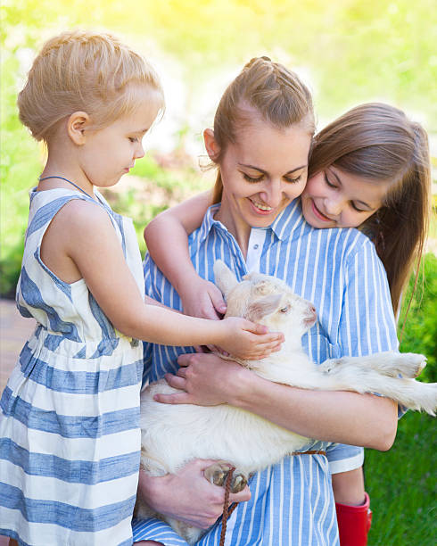 istock Happy mother and her daughters with baby goats 622528228