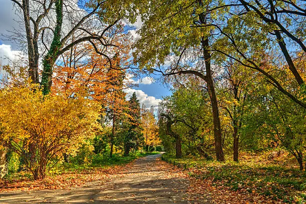 Photo of Autumn In The Park