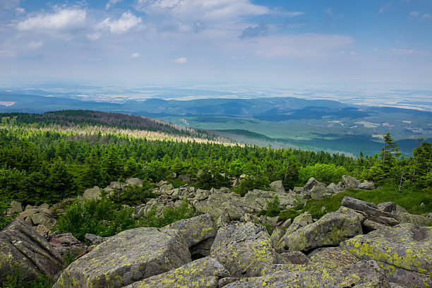 istock Mountains and forest of  Harz in the sunlight , Germany 622531798