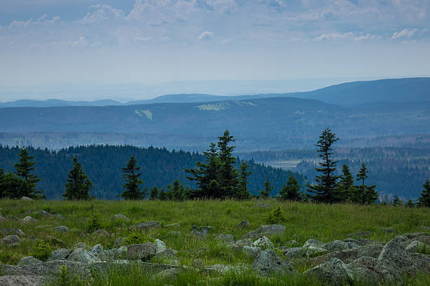 berge und wald des harzes im sonnenlicht , deutschland - berg brocken stock-fotos und bilder