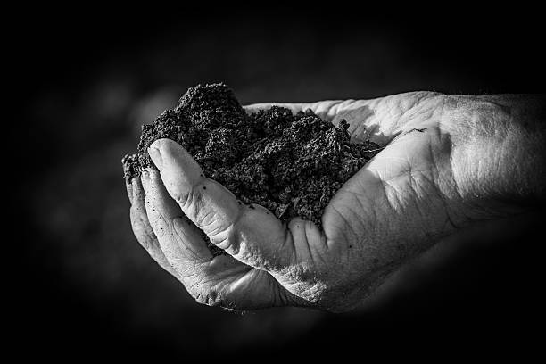 istock Handful of soil 622533790