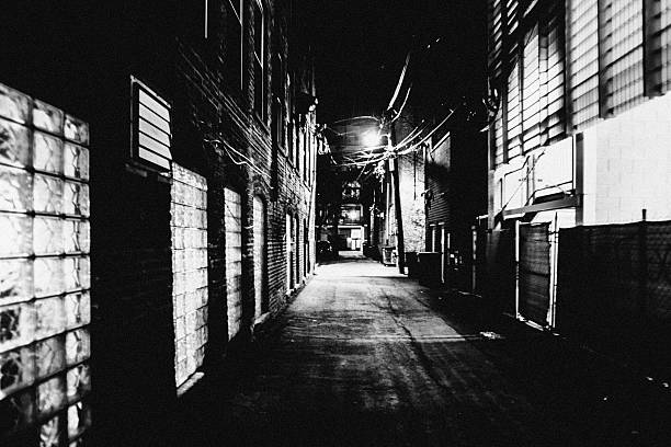istock Dark alley. Bucktown, Chicago. 622536386
