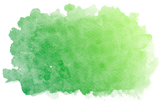 Abstract green watercolor on white background.This is watercolor splash.It is drawn by hand.