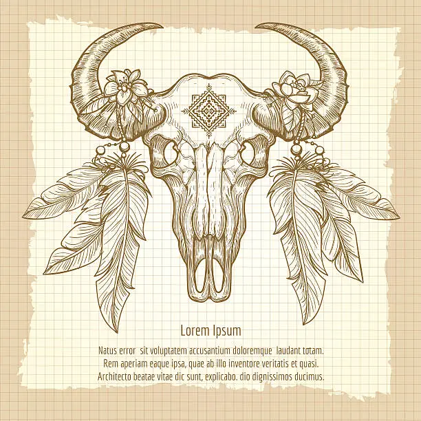 Vector illustration of Hand drawn buffalo skull vintage poster