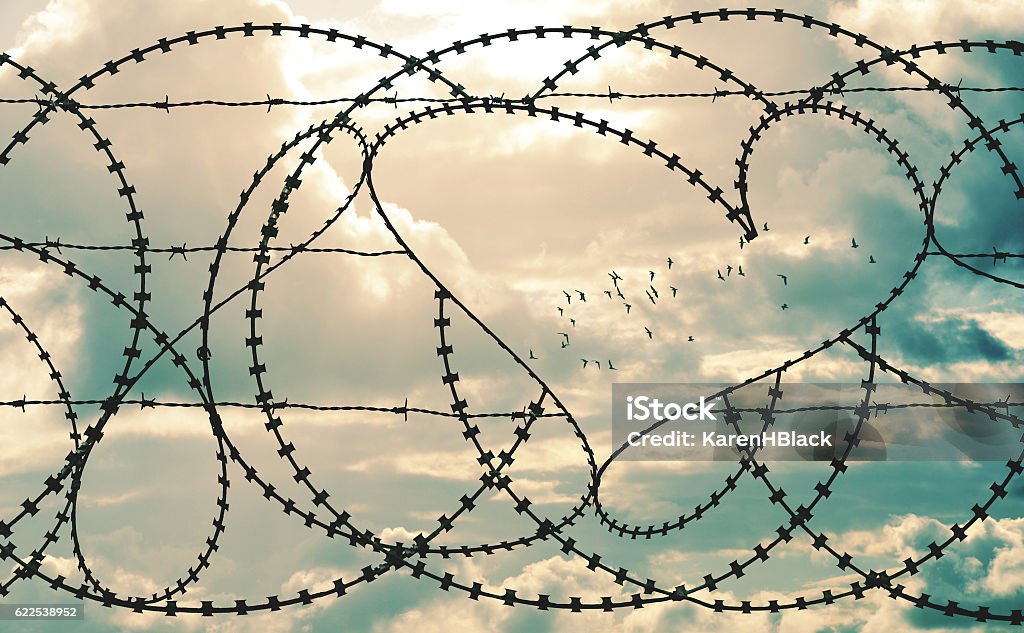 Herz in Barbwire Rahmen Herde von Vögeln in Wolkenlandschaft Hintergrund - Lizenzfrei Freiheit Stock-Foto
