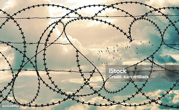 Herz In Barbwire Rahmen Herde Von Vögeln In Wolkenlandschaft Hintergrund Stockfoto und mehr Bilder von Freiheit