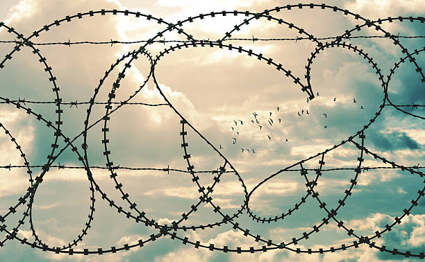 Heart in barbwire frames flock of birds in cloudscape background Natural heart shape in a barbed wire fence on cloudscape background. Flock of birds flying through heart. Love, freedom, peace, hope and compassion concepts. barbed wire photos stock pictures, royalty-free photos & images