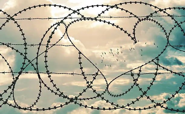Photo of Heart in barbwire frames flock of birds in cloudscape background