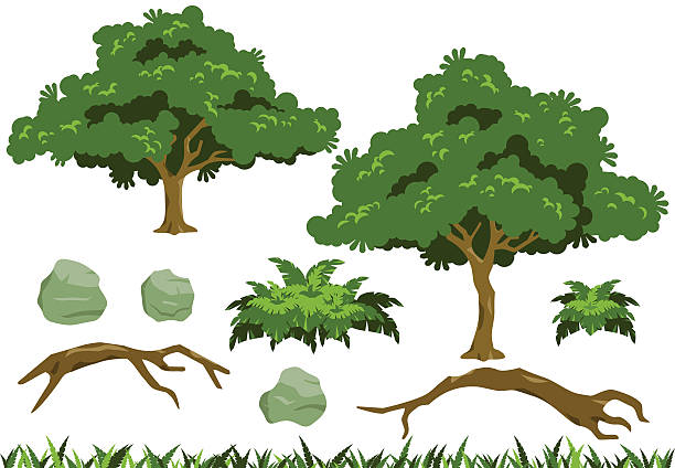 Simple Tree, Fern Bush, and Rocks Simple tree vectors inspired by rain tree (Samanea saman). Vector fern bush, falling tree, and rocks also included. big tree stock illustrations