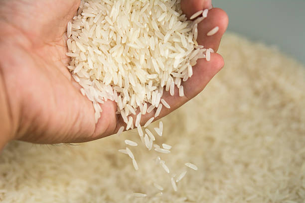 istock Pouring thai jasmine rice from hand 622544710
