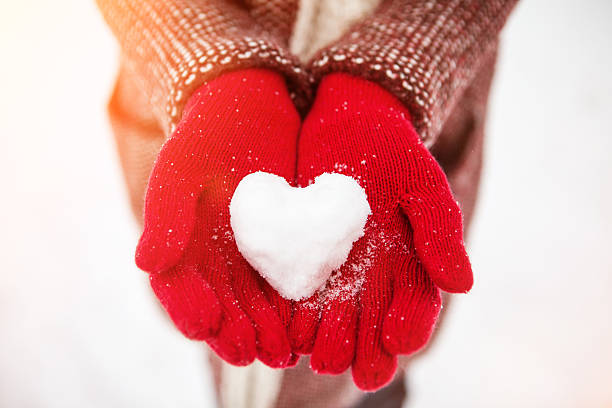 snowy heart woman holds in her hands a snowy heart 2014 photos stock pictures, royalty-free photos & images
