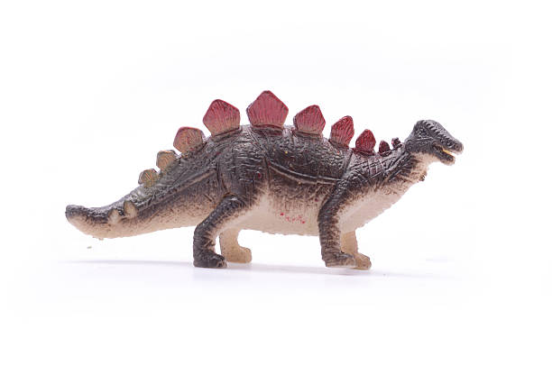 istock Stegosaurus dinosaur toy isolated on white 622549328