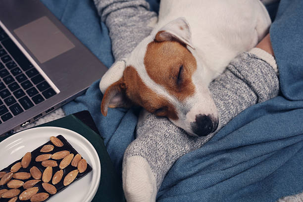 istock Woman wearing cozy socks relaxing at home 622767584
