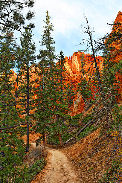 istock Footpath through the Hoodoos.Bryce Canyon National Park, Utah. 622768616