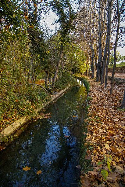istock Autumn landscape with colorful leaves, river and reflections in 622773456