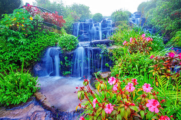 저수시설 가을맞이. - awe beauty in nature waterfall cool 뉴스 사진 이미지