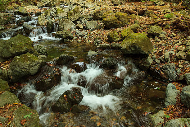 istock Flowing stream of water, Nasushiobara 622779984