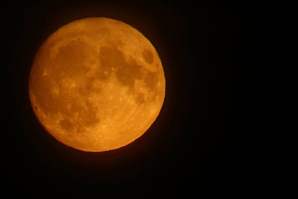 Harvest moon on dark sky background stock photo