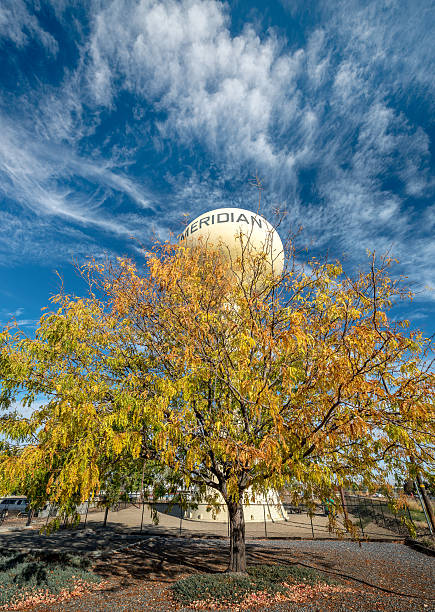istock Autumn tree with a yellow water tower and clouds 622784372