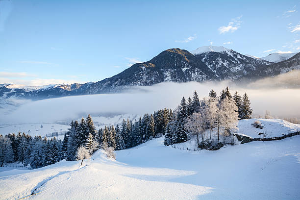 мечтательный зимний пейзаж в австрийских альпах возле зальцбурга, австрия европа - lech valley стоковые фото и изображения