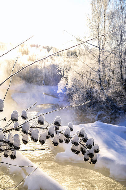 istock Winter sunny landscape with river and forest 622787060