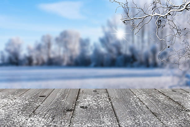 istock grey wood in winter landscape background 622787120