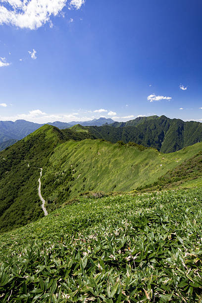 istock Look at the Higashikuromori direction from Iyofuji 622789328