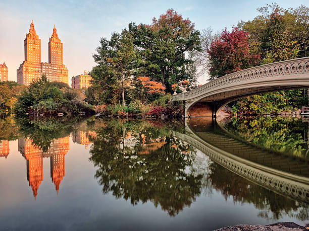 istock Bow bridge in early morning 622792790